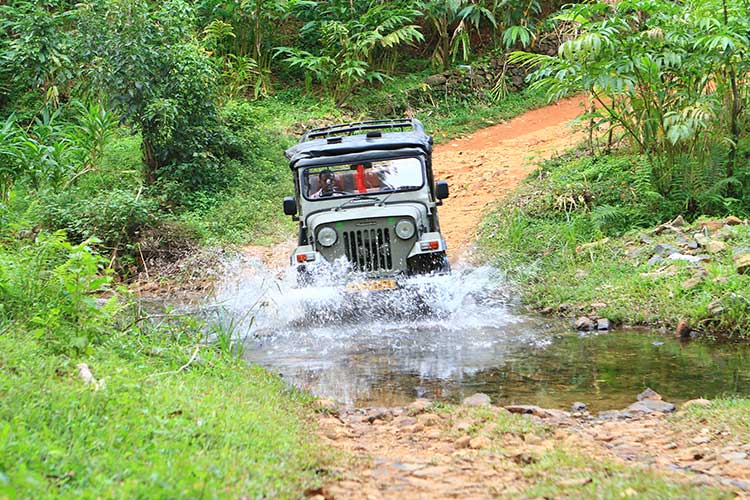 Thekkady Jeep Safari